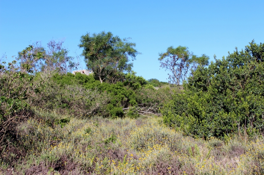 0 Bedroom Property for Sale in Forest Downs Eastern Cape